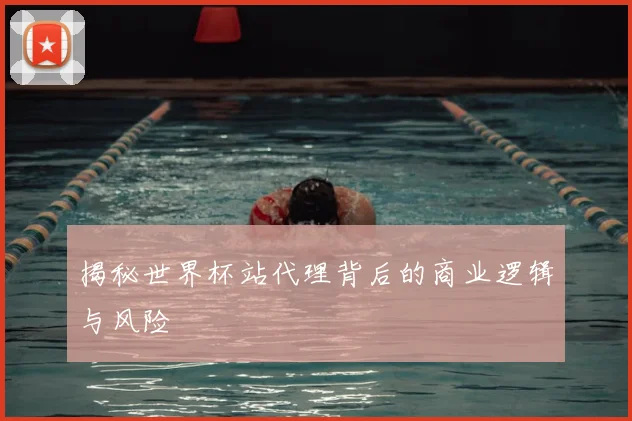 揭秘世界杯站代理背后的商业逻辑与风险