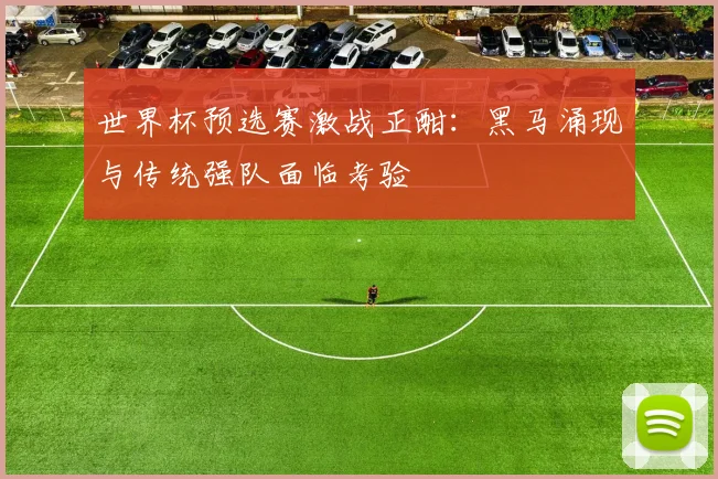 世界杯预选赛激战正酣：黑马涌现与传统强队面临考验