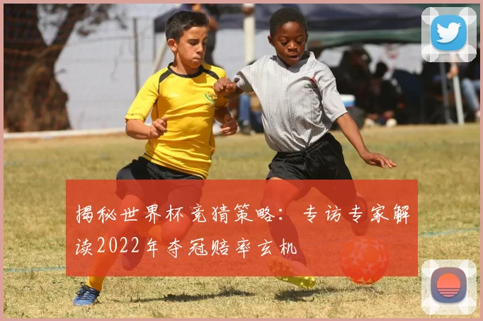 揭秘世界杯竞猜策略：专访专家解读2022年夺冠赔率玄机