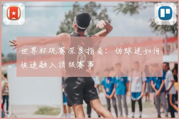 世界杯观赛深度指南：伪球迷如何快速融入顶级赛事