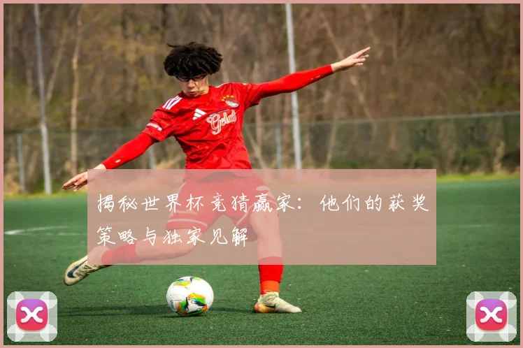 揭秘世界杯竞猜赢家：他们的获奖策略与独家见解