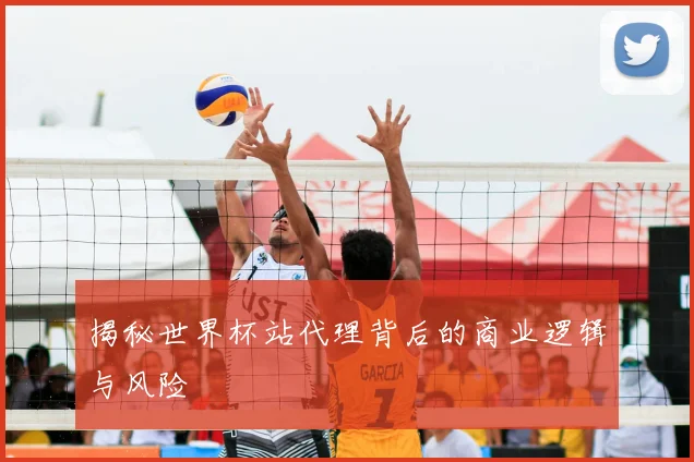 揭秘世界杯站代理背后的商业逻辑与风险