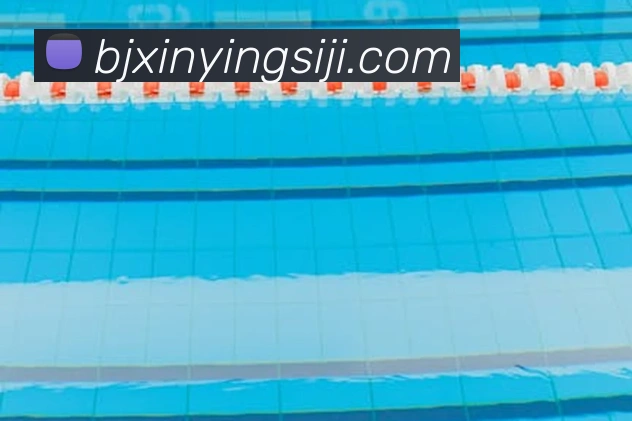 回顾2010世界杯阿根廷队：梅西领军征程与八强赛关键解析